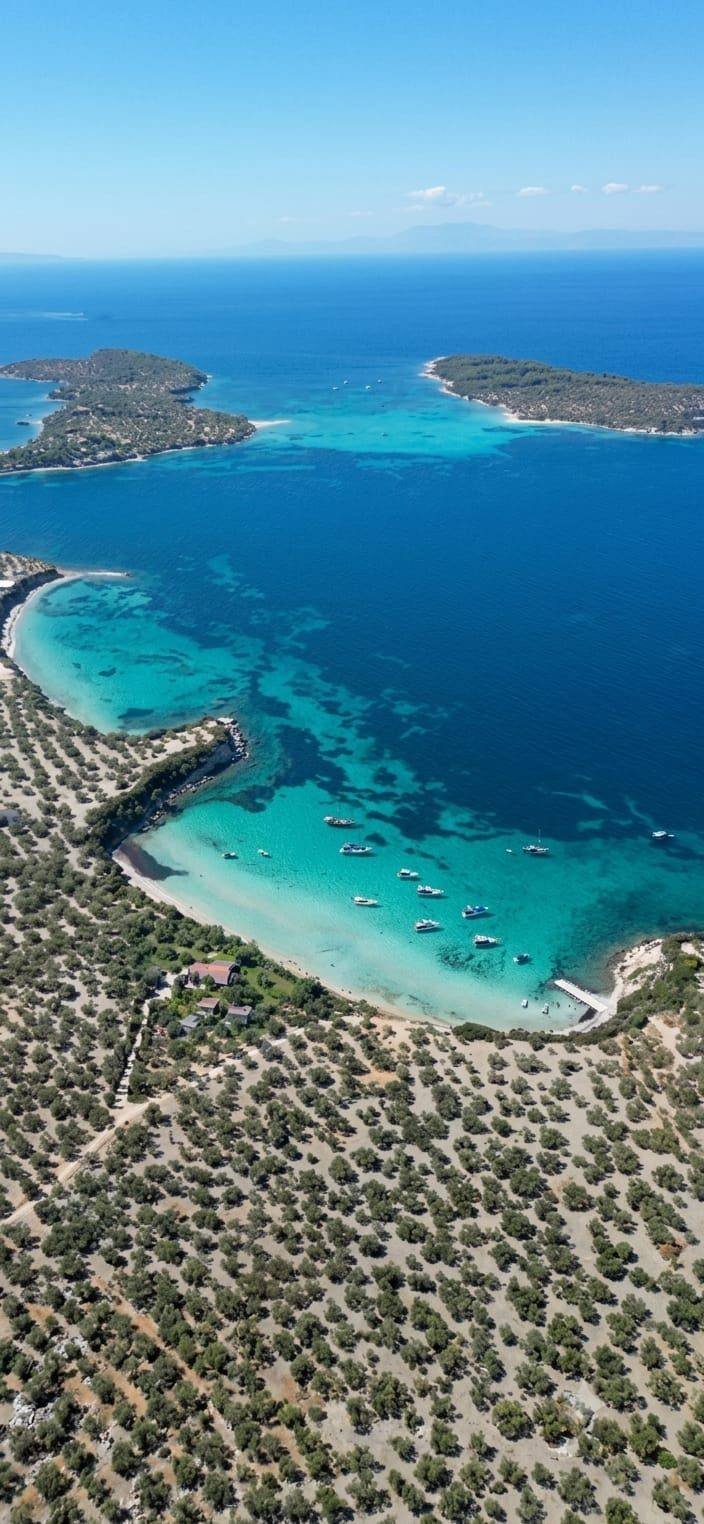 Dikili koyu, turkuaz deniz
